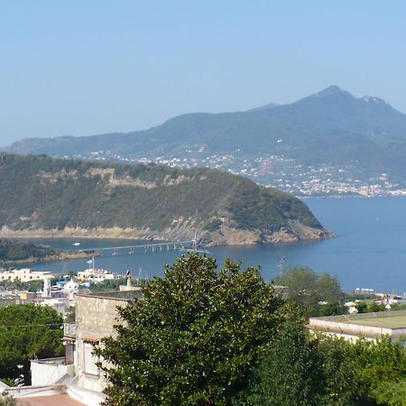 Hotel Savoia بروسيدا المظهر الخارجي الصورة